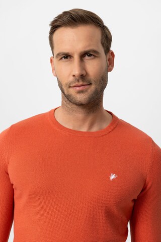 DENIM CULTURE Sweater 'LEVIN' in Orange