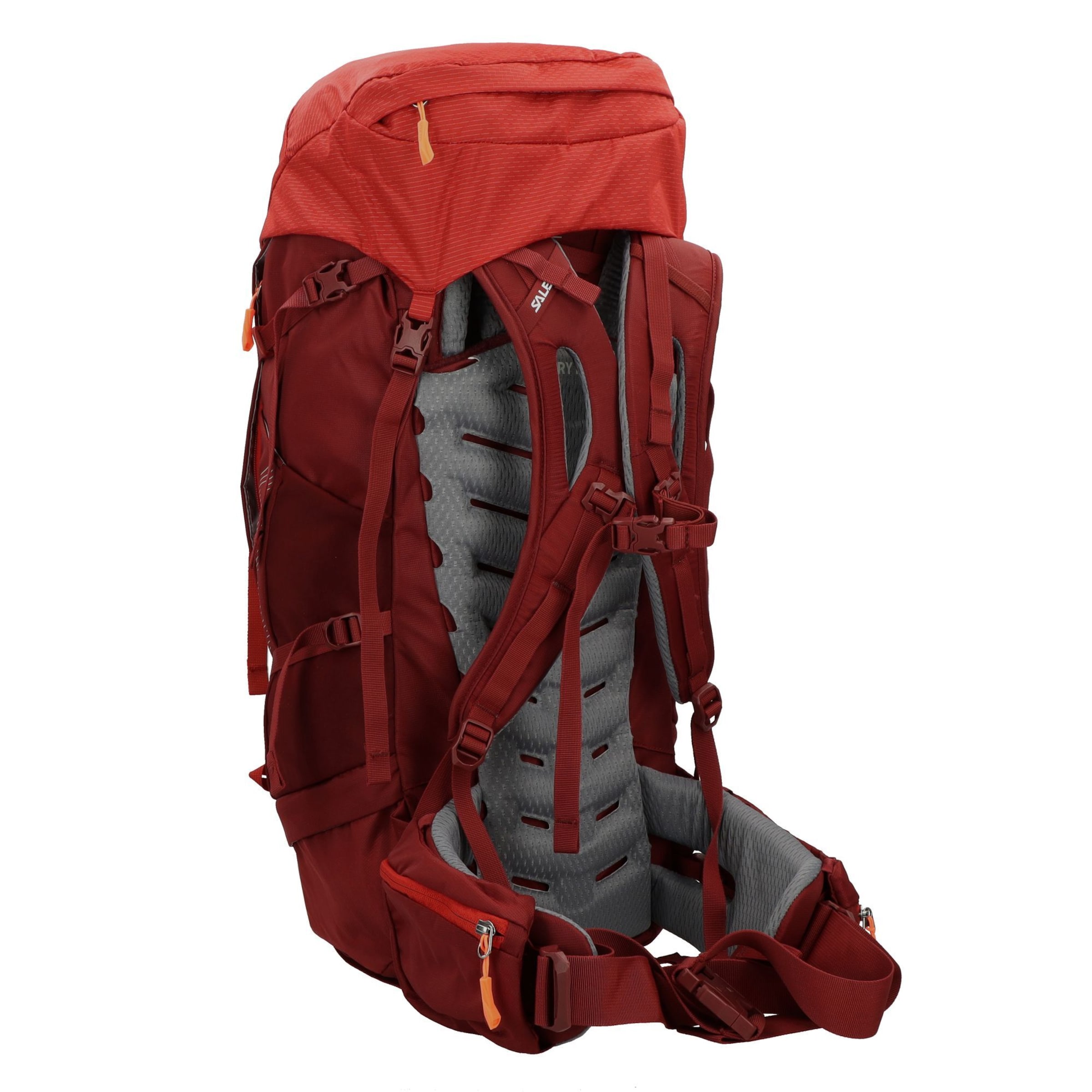 Sac à dos de sport 'Alptrek' SALEWA en rouge