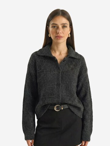Bianco Lucci Strickjacke 'Strickjacken'‌‌ in Grau: Vorderseite