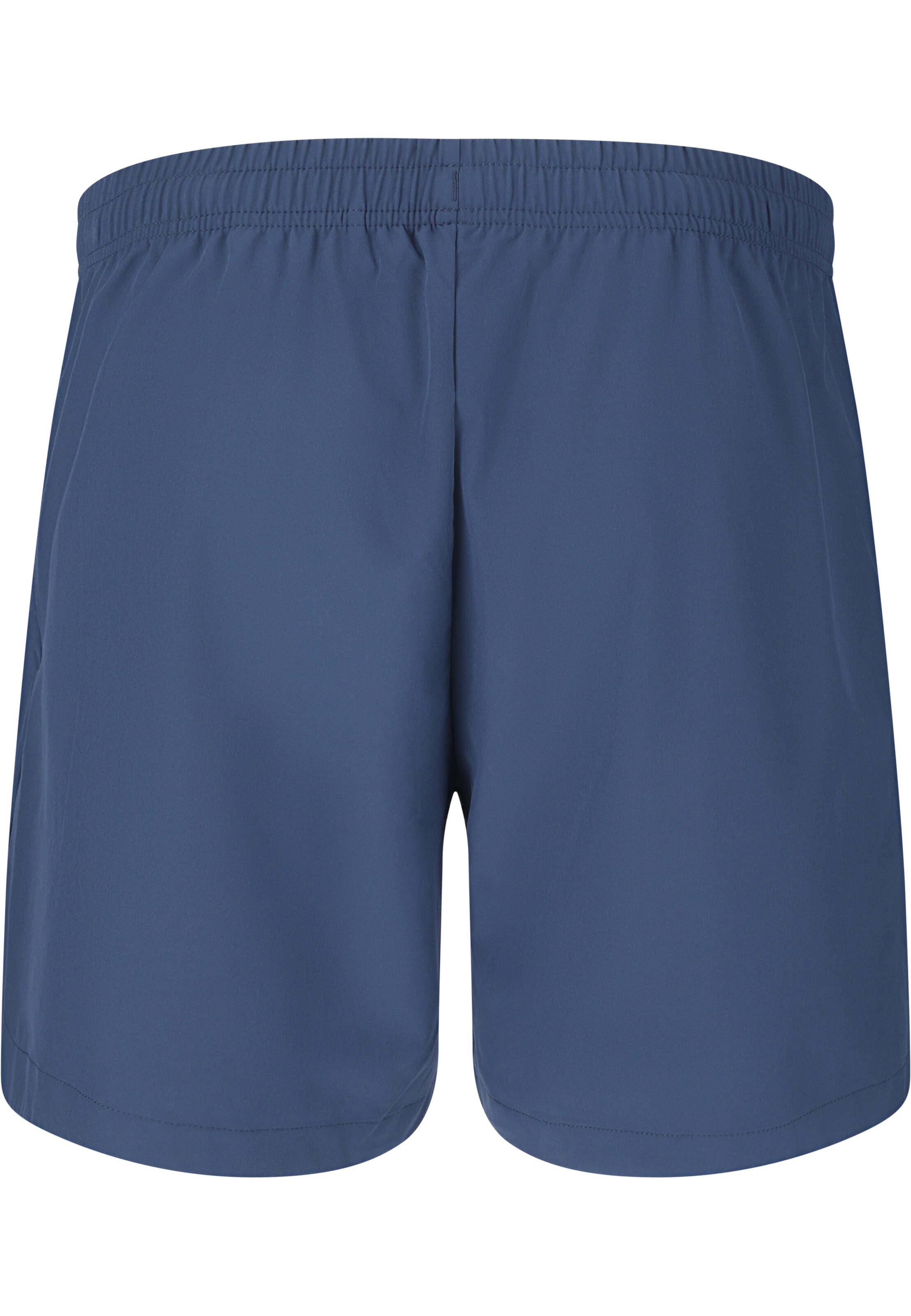 Virtus Regular Workout Pants 'Spier V3' in Blue