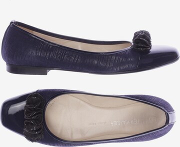 PETER KAISER Flats & Loafers in 38 in Blue: front
