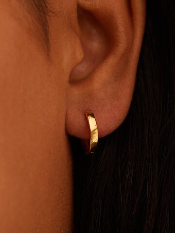 Lucardi Oorbellen 'Klassisch' in Goud: voorkant