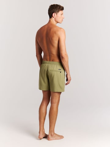 PROTEST Board Shorts 'Davey' in Green