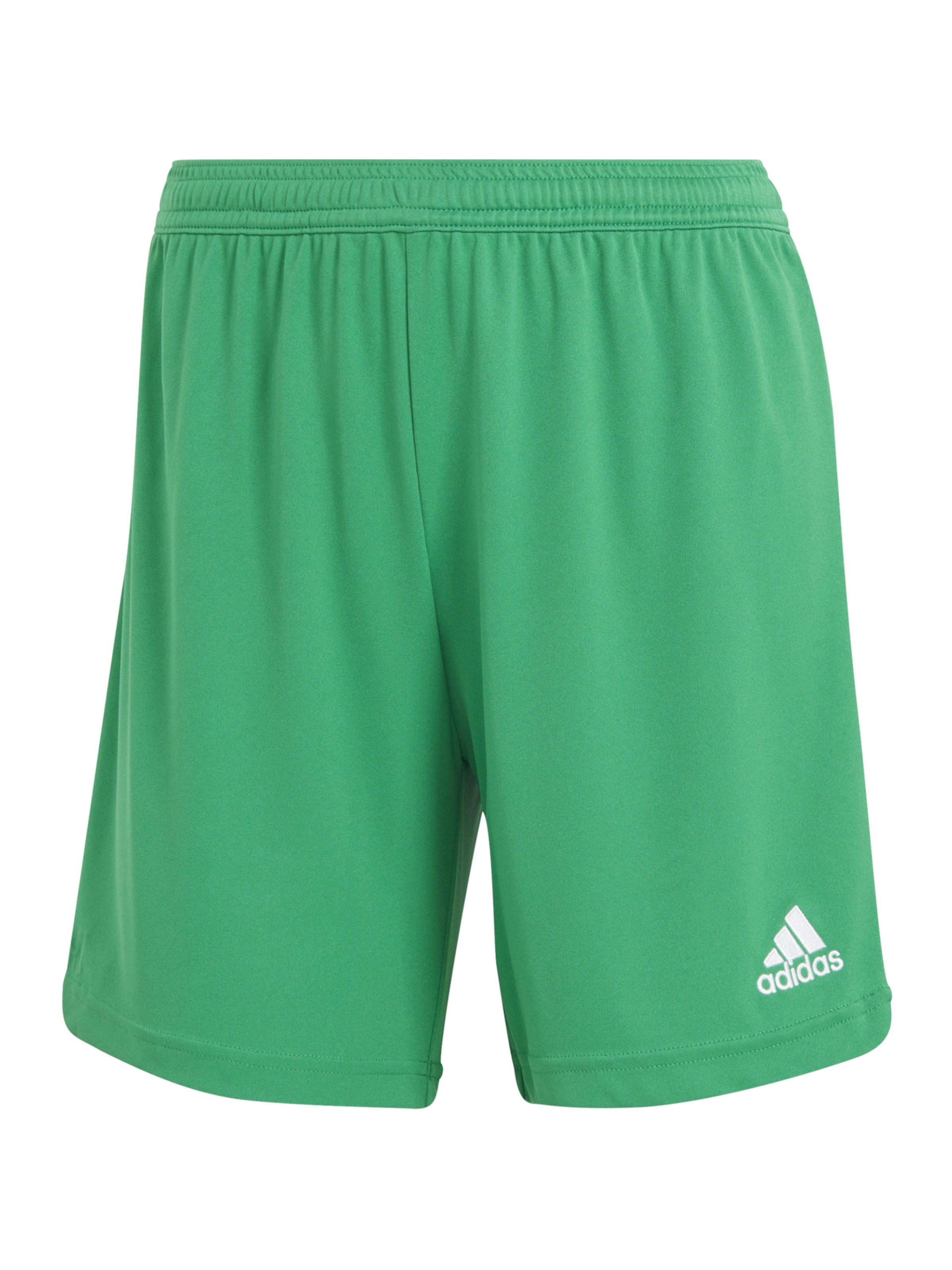 Pantaloni sportivi 'Entrada 22' di ADIDAS PERFORMANCE in verde: frontale
