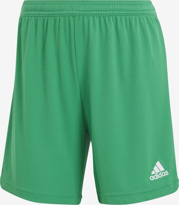 ADIDAS SPORTSWEAR Workout Pants in Green: front