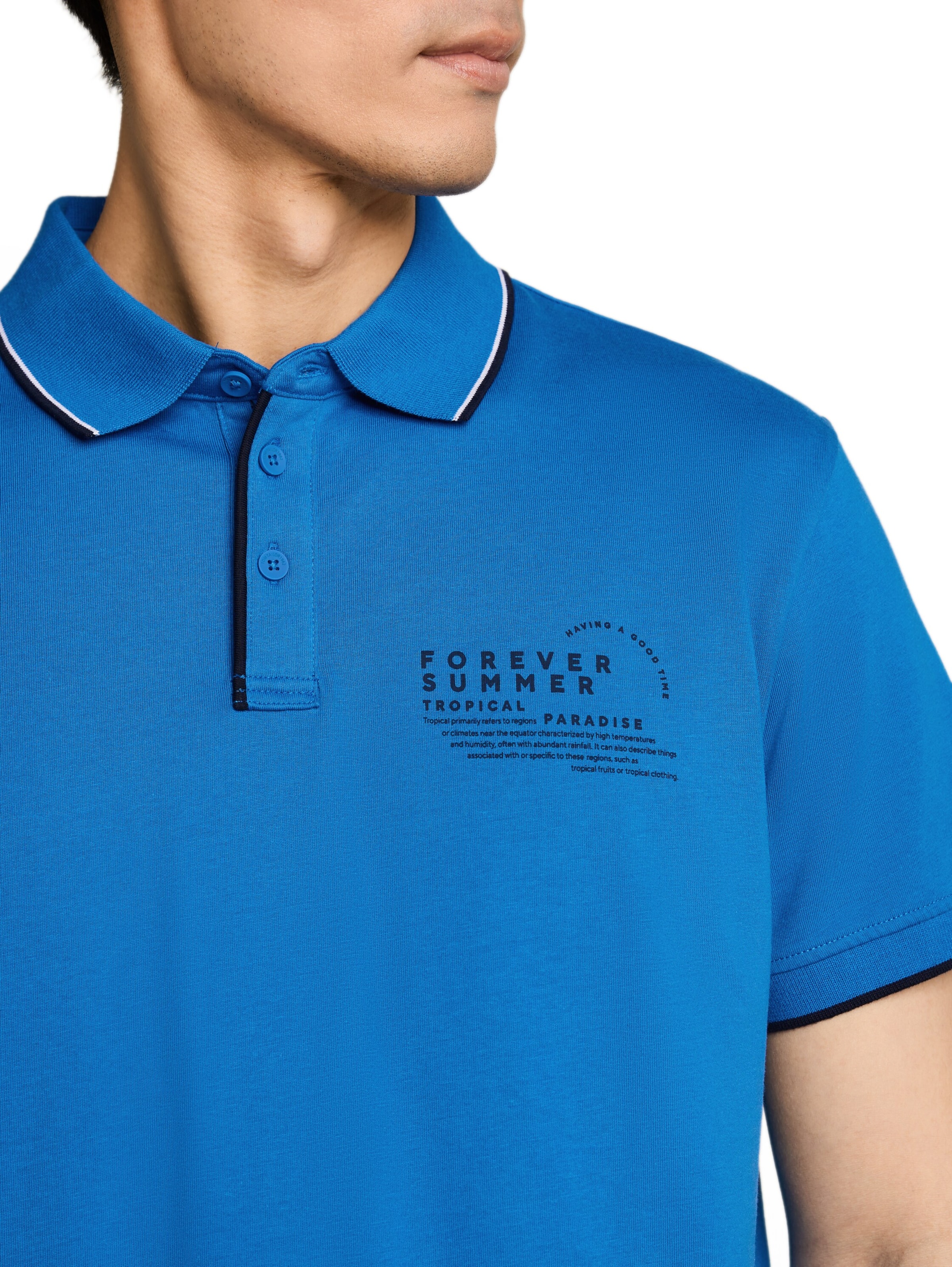 TOM TAILOR Bluser & t-shirts i blå