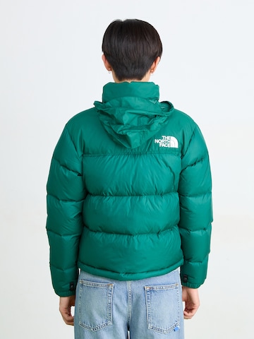 THE NORTH FACE Zimska jakna '1996 Retro Nuptse' | zelena barva