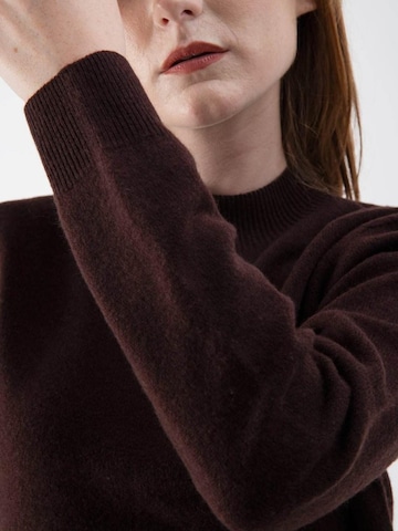 MND Pullover‌‌ in Braun