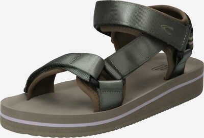 CAMEL ACTIVE Strap Sandals 'Creek' in Khaki / Olive, Item view