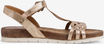 TAMARIS Strap Sandals in Gold