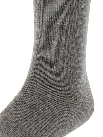 FALKE Socks 'Comfort Wool' in Grey