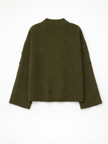 Pull-over 'Pullover' Hiccup en vert