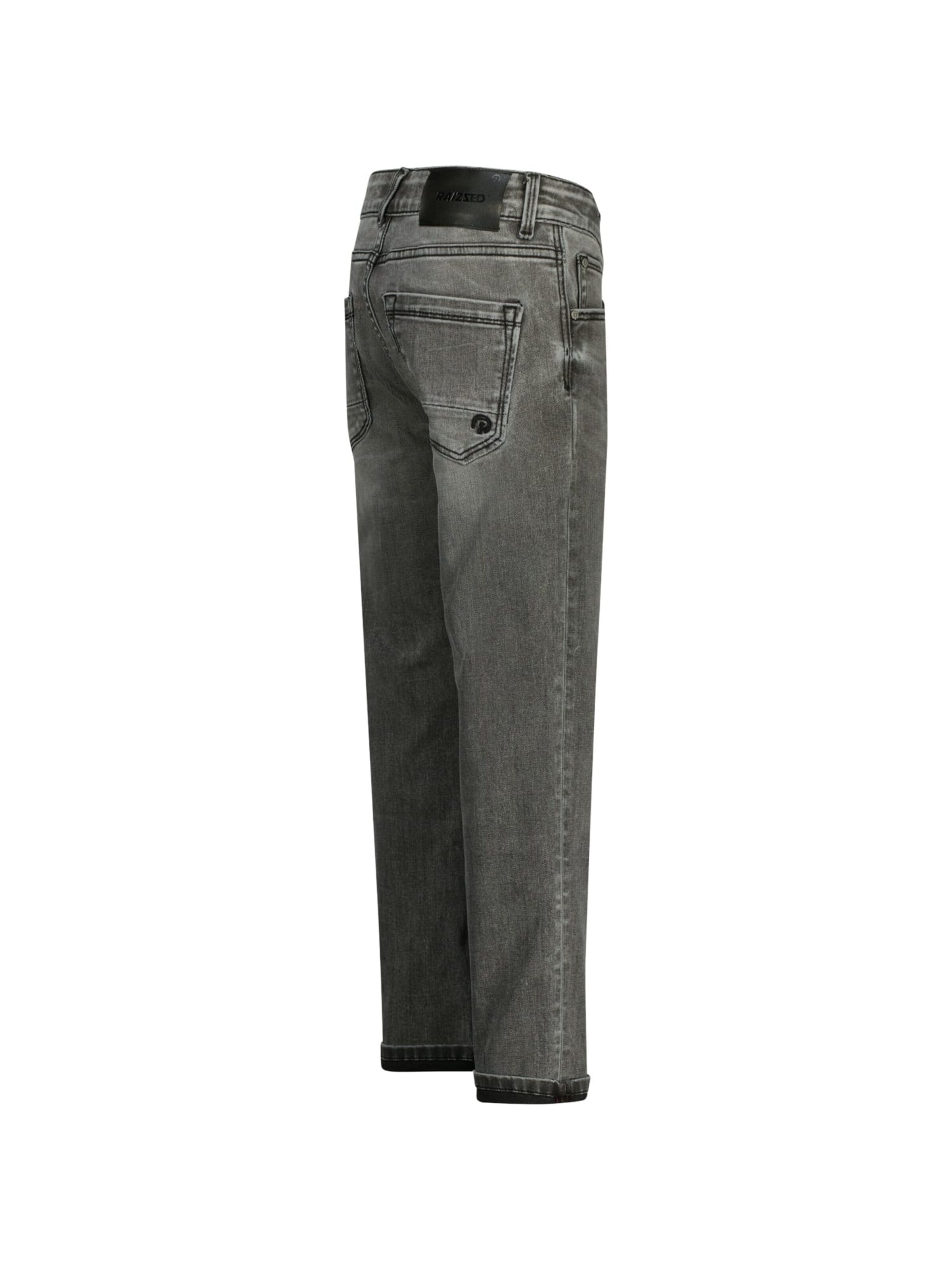 Raizzed Baggy Jeans in Grijs