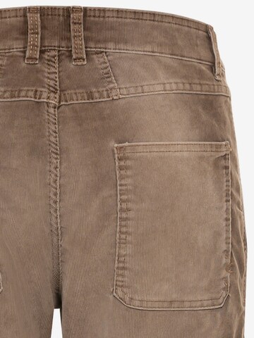 CAMEL ACTIVE Tapered Pants in Brown