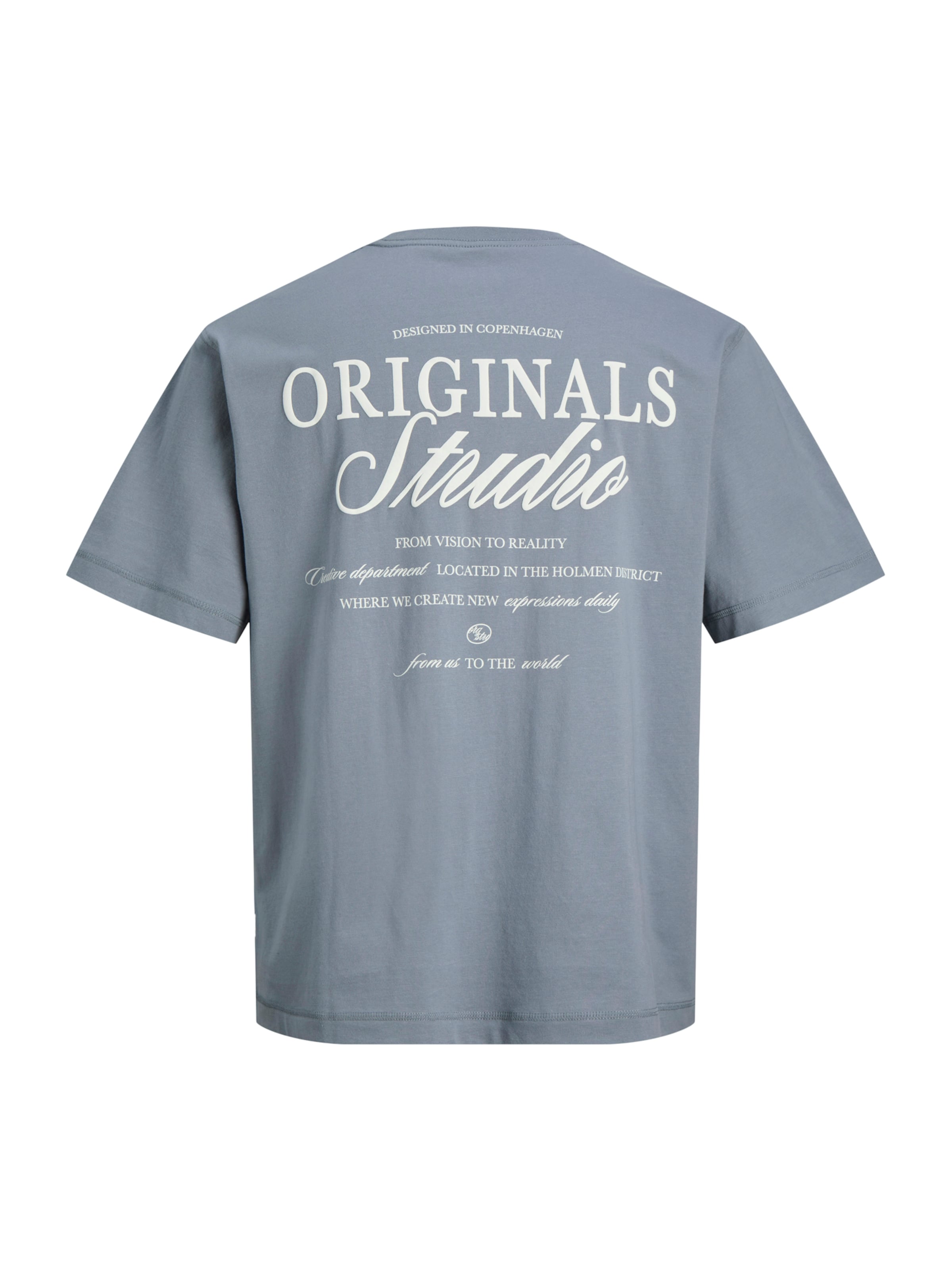 Jack & Jones Plus T-Shirt 'JORNORREBRO' in Blau