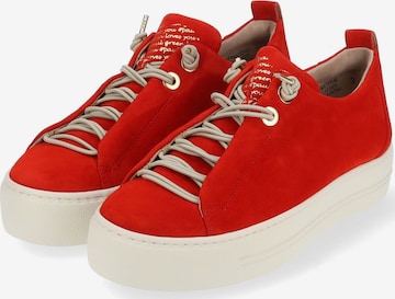 Sneaker bassa di Paul Green in rosso