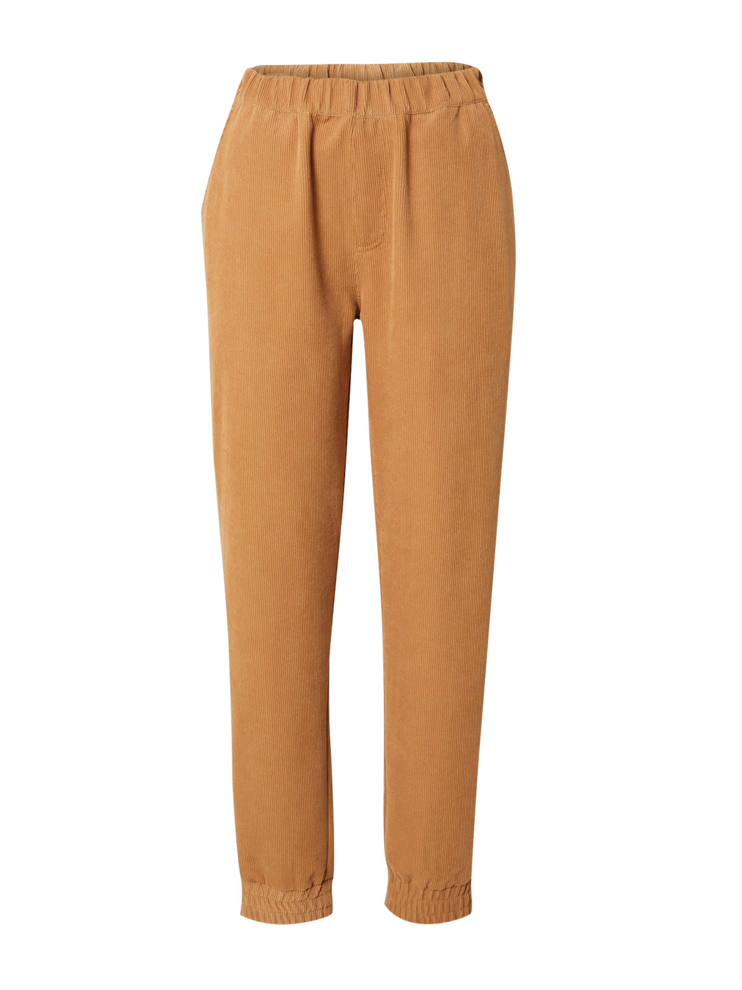 Iriedaily Tapered Trousers 'Civic' in Brown: front