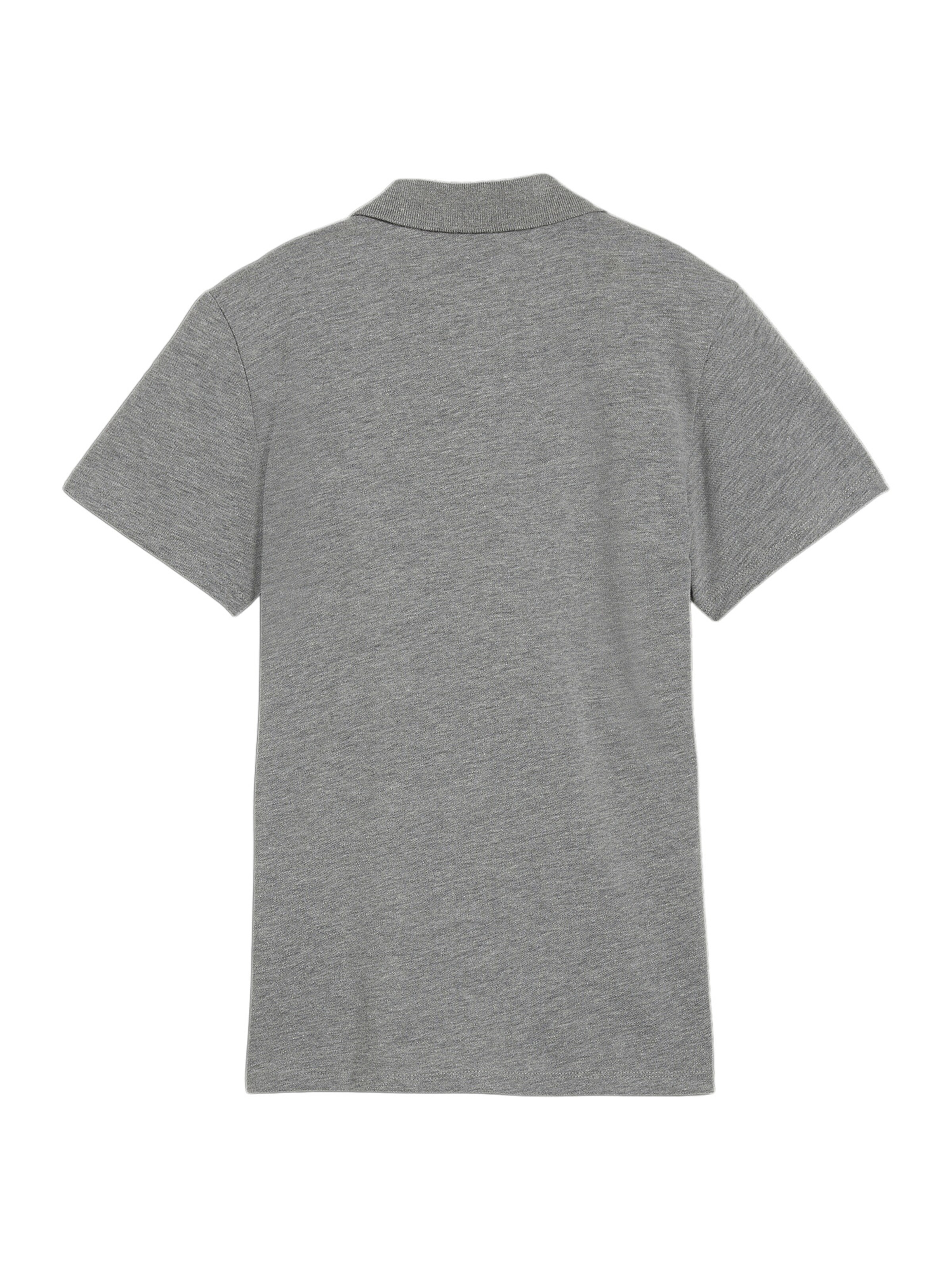 PUMA Performance Shirt 'TeamGoal' in Grey