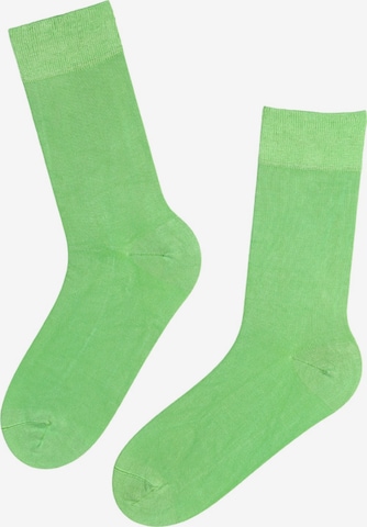 Chaussettes 'TAUNO' Sokisahtel en vert : devant