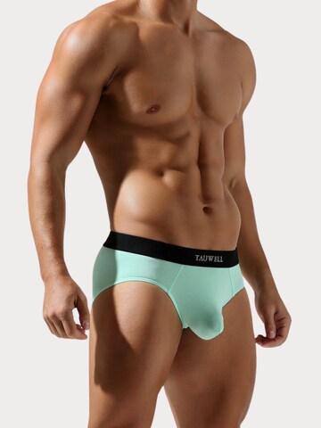 TAUWELL Slip in Grün