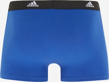 ADIDAS SPORTSWEAR - Calzoncillo deportivo en azul