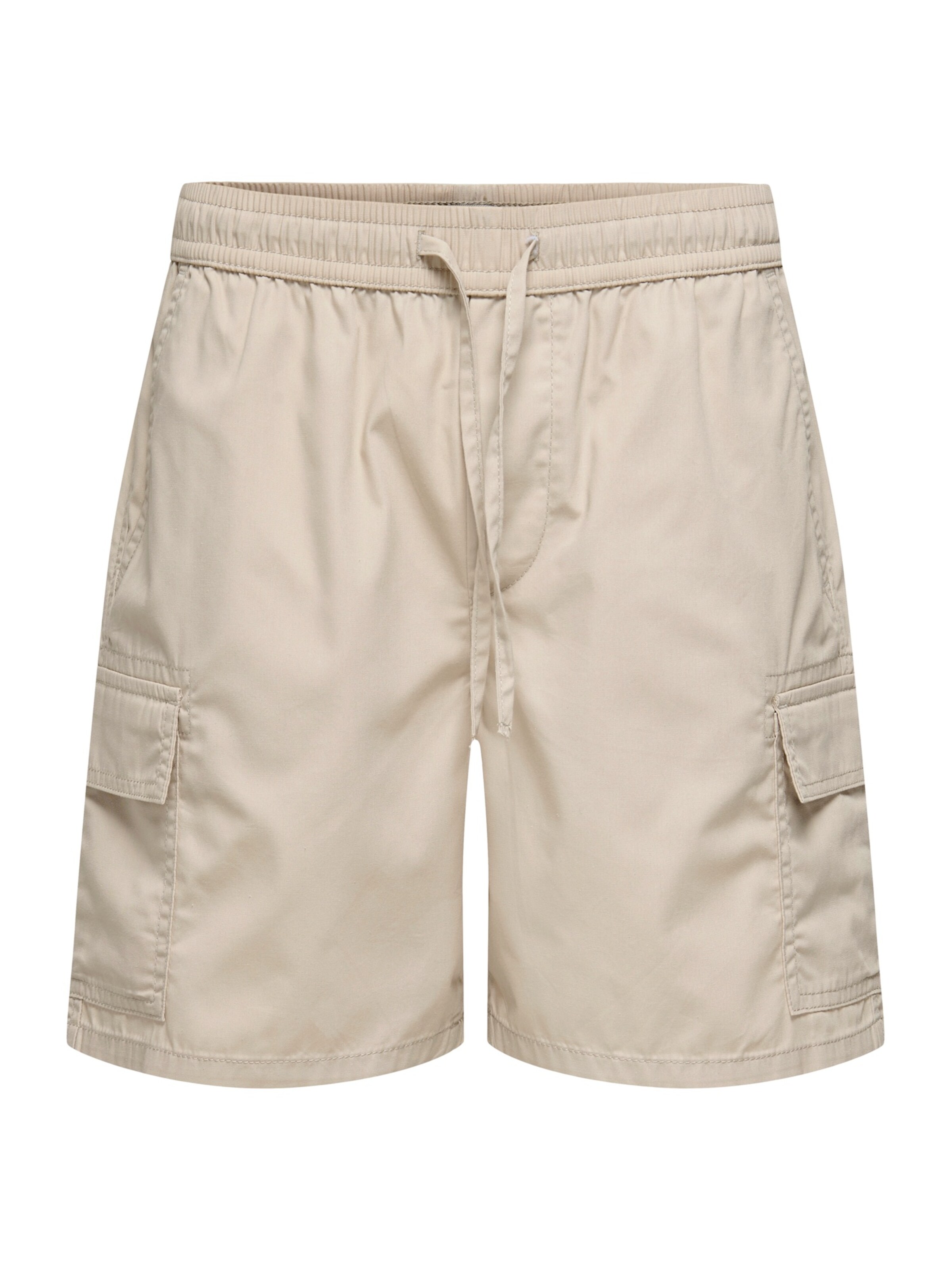 Only & Sons Cargo Pants 'ONSKAL' in Grey: front