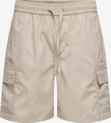 Only & Sons Cargo Pants 'ONSKAL' in Grey: front