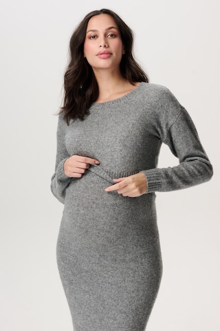 Pull-over Noppies en gris : devant