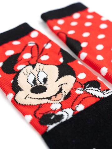 Disney Minnie Mouse Socks in Mixed colours