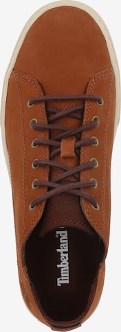 TIMBERLAND Rövid szárú sportcipők - barna