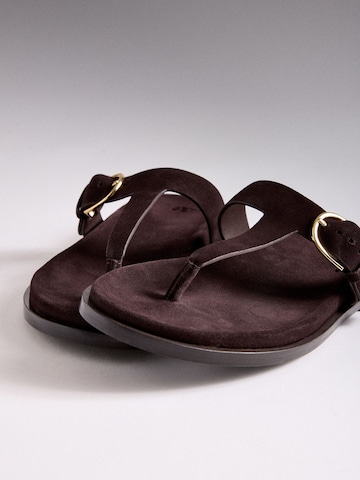 Tongs The Set en marron