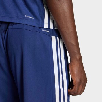 ADIDAS PERFORMANCE Regular Hose in Blau