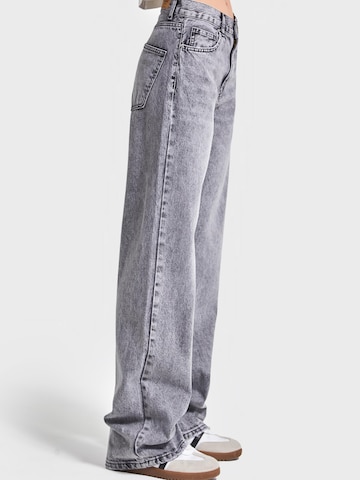 Loosefit Jean 'SOFIA Loose High Rise' IT'S BASIC en gris