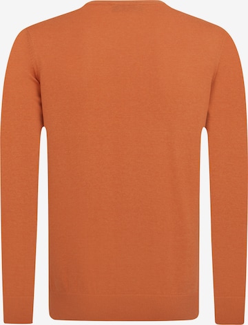 DENIM CULTURE Pullover 'Alonza' in Orange