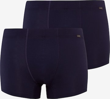 Hanro Pants 2-Pack ' Cotton Essentials ' in Blau: predná strana
