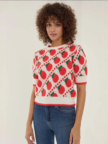 Pullover di Hiccup in rosso: frontale