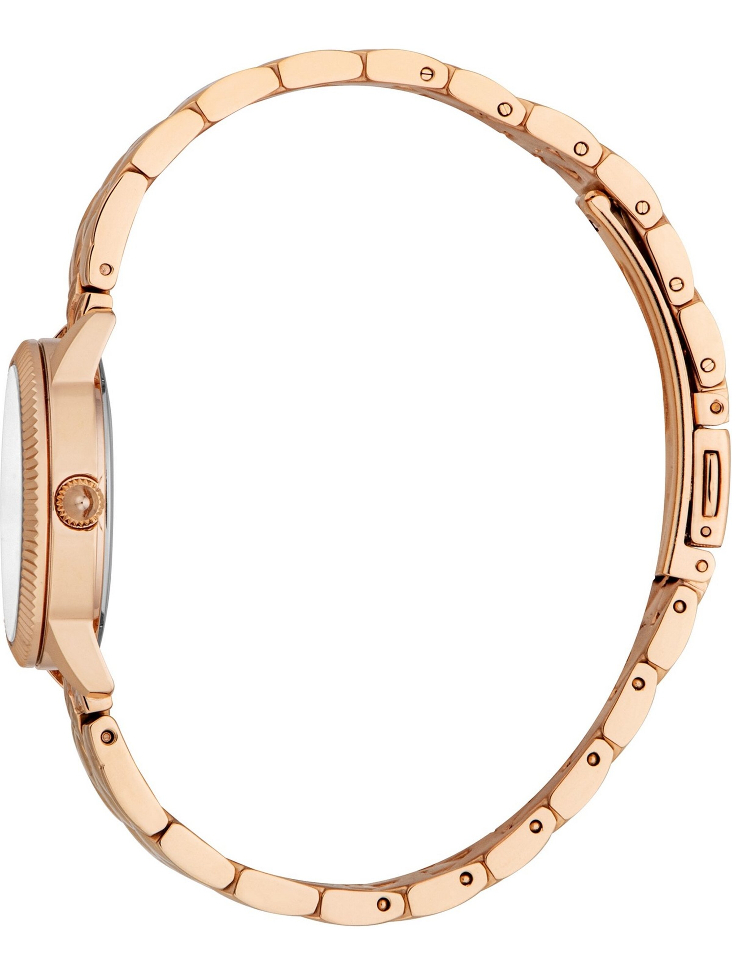 Just Cavalli Analog watch in Gold