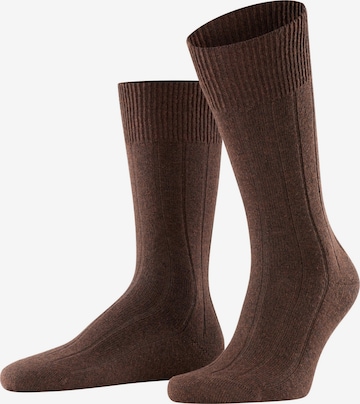 FALKE Socken 'Lhasa Rib' in Braun: Vorderseite