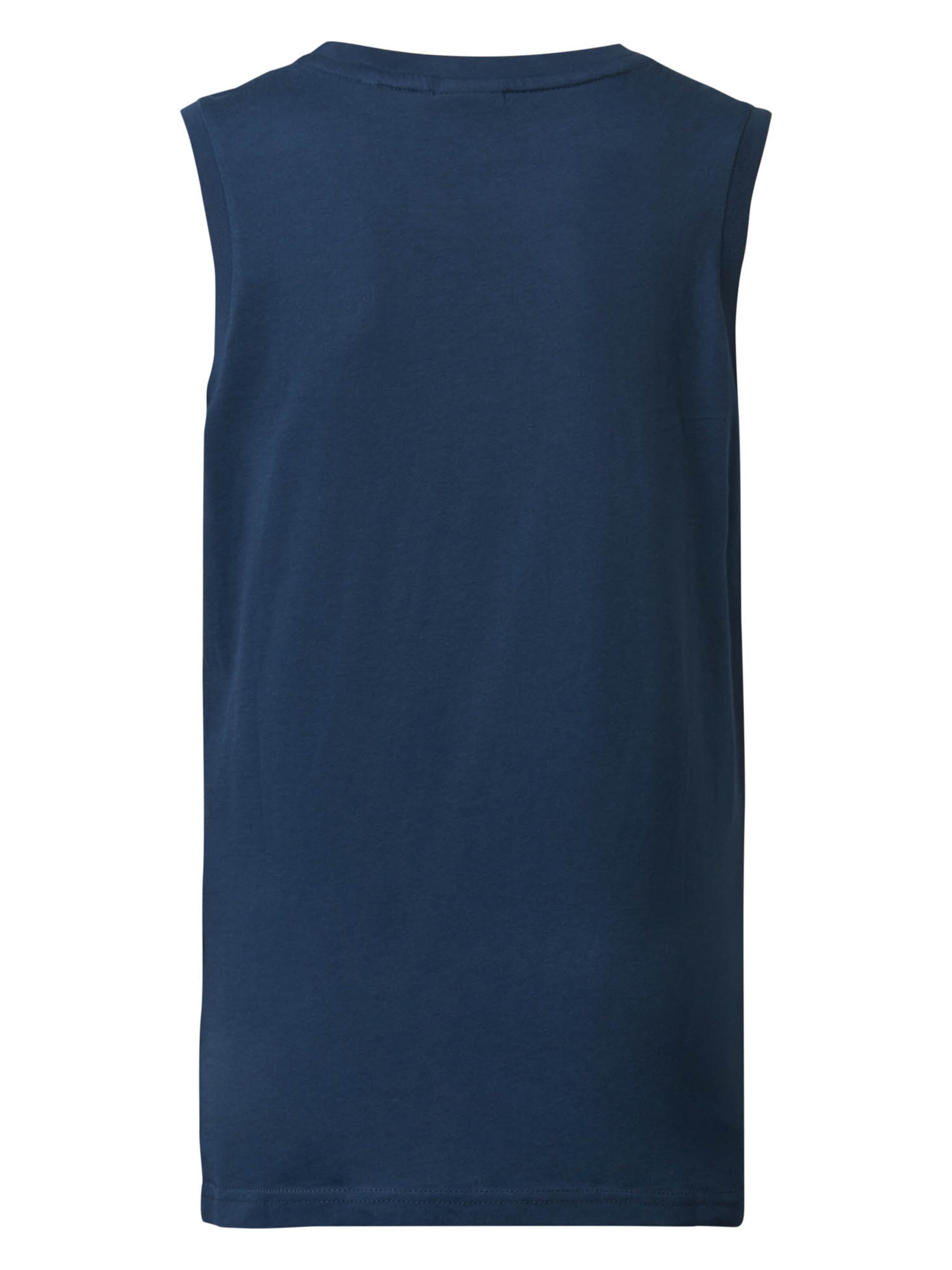 Petrol Industries Shirt in Blue