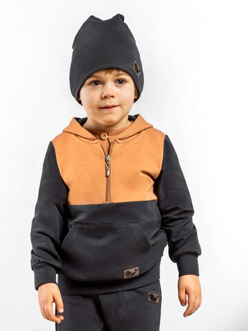 Bamar Nicol Sweatshirt in Brown: front