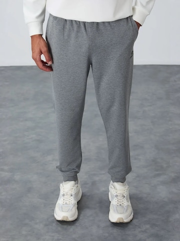 Regular Pantalon Tommy Life en gris : devant
