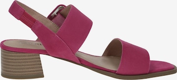 CAPRICE Sandals in Pink