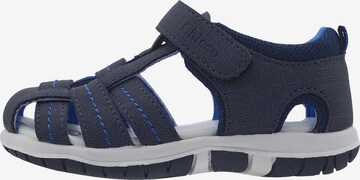 CHICCO Sandals & Slippers in Blue: front