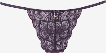String LASCANA en violet : devant