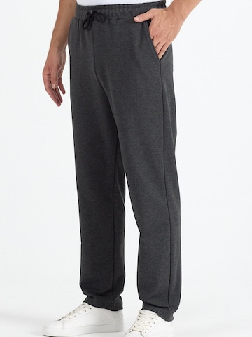 Maxx Free Regular Workout Pants 'Jogginghose Herren' in Grey: front