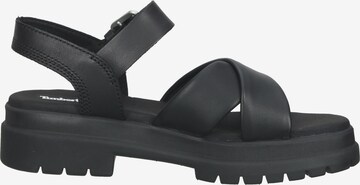 TIMBERLAND Sandals 'London Vibe' in Black