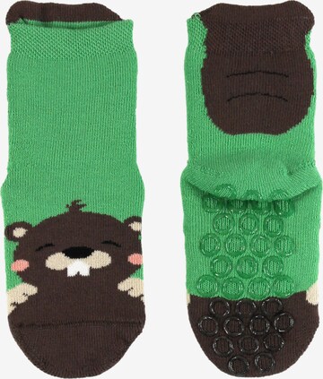 ROGO Socks 'Biber' in Green