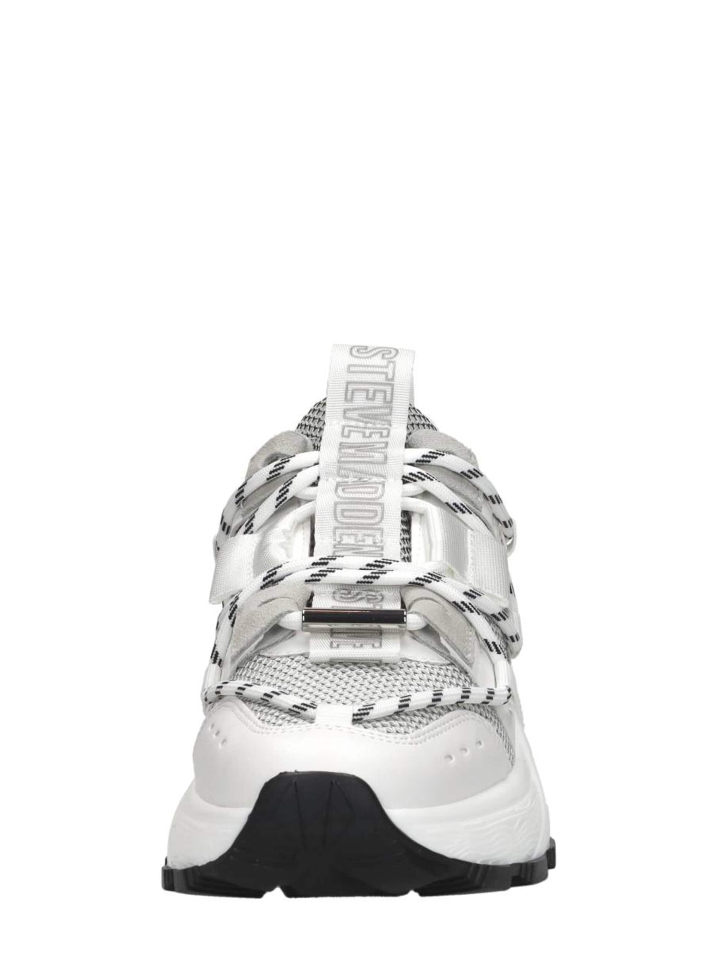 STEVE MADDEN Sneakers 'Tazmania' in White