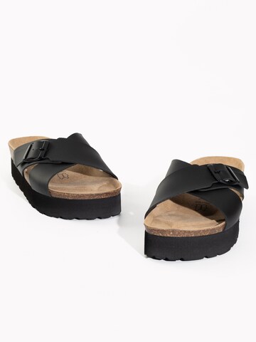 Bayton Mules 'Ajax' in Black