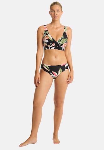 SEA LEVEL Triangel Bikinitop 'Sundown' in Schwarz